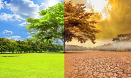 Perubahan Iklim: Fakta, Dampak, Dan Tindakan Nyata