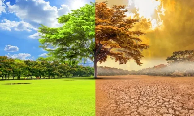 Perubahan Iklim: Fakta, Dampak, Dan Tindakan Nyata