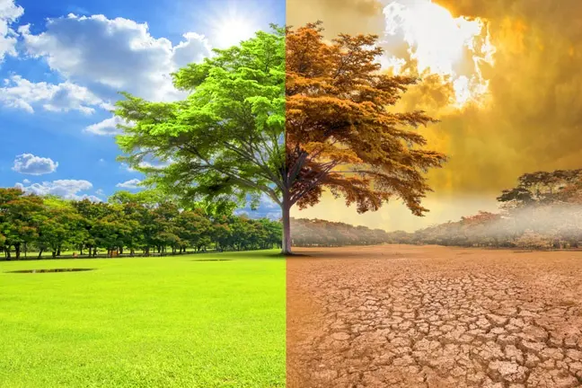 Perubahan Iklim: Fakta, Dampak, Dan Tindakan Nyata