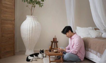 Gaya Hidup Minimalis Untuk Hidup Lebih Tenang Dan Teratur
