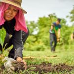 Aktivitas Harian Kreatif Membawa Dampak Positif Bagi Kehidupan