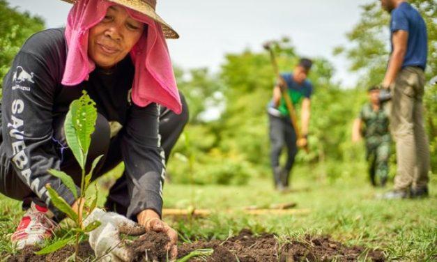 Aktivitas Harian Kreatif Membawa Dampak Positif Bagi Kehidupan