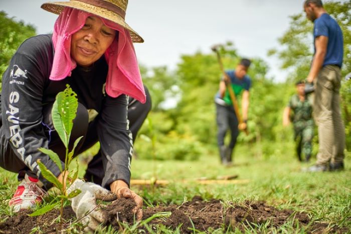 Aktivitas Harian Kreatif Membawa Dampak Positif Bagi Kehidupan