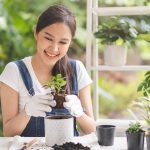 Hobi Kreatif Menjadi Pilihan Untuk Mengisi Waktu Luang Di Rumah