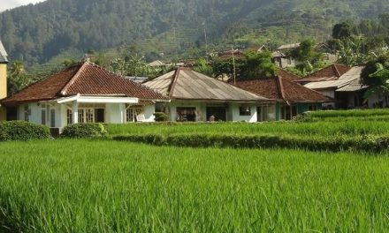Pola Hidup Sederhana Mulai Banyak Diterapkan Masyarakat