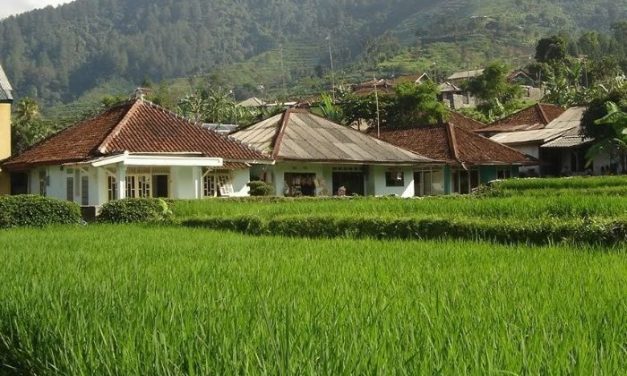Pola Hidup Sederhana Mulai Banyak Diterapkan Masyarakat